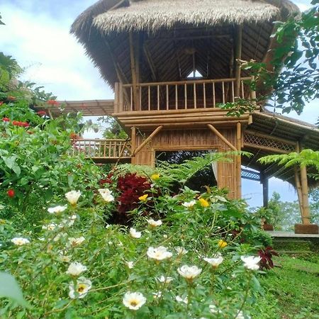 Lembah Cinta Mayungan Baturiti Exteriör bild