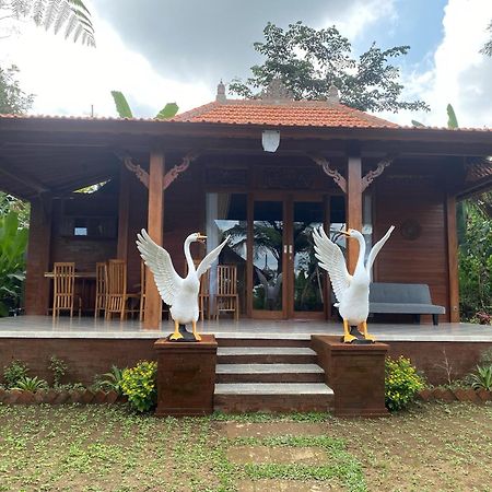 Lembah Cinta Mayungan Baturiti Exteriör bild