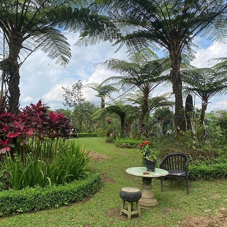 Lembah Cinta Mayungan Baturiti Exteriör bild