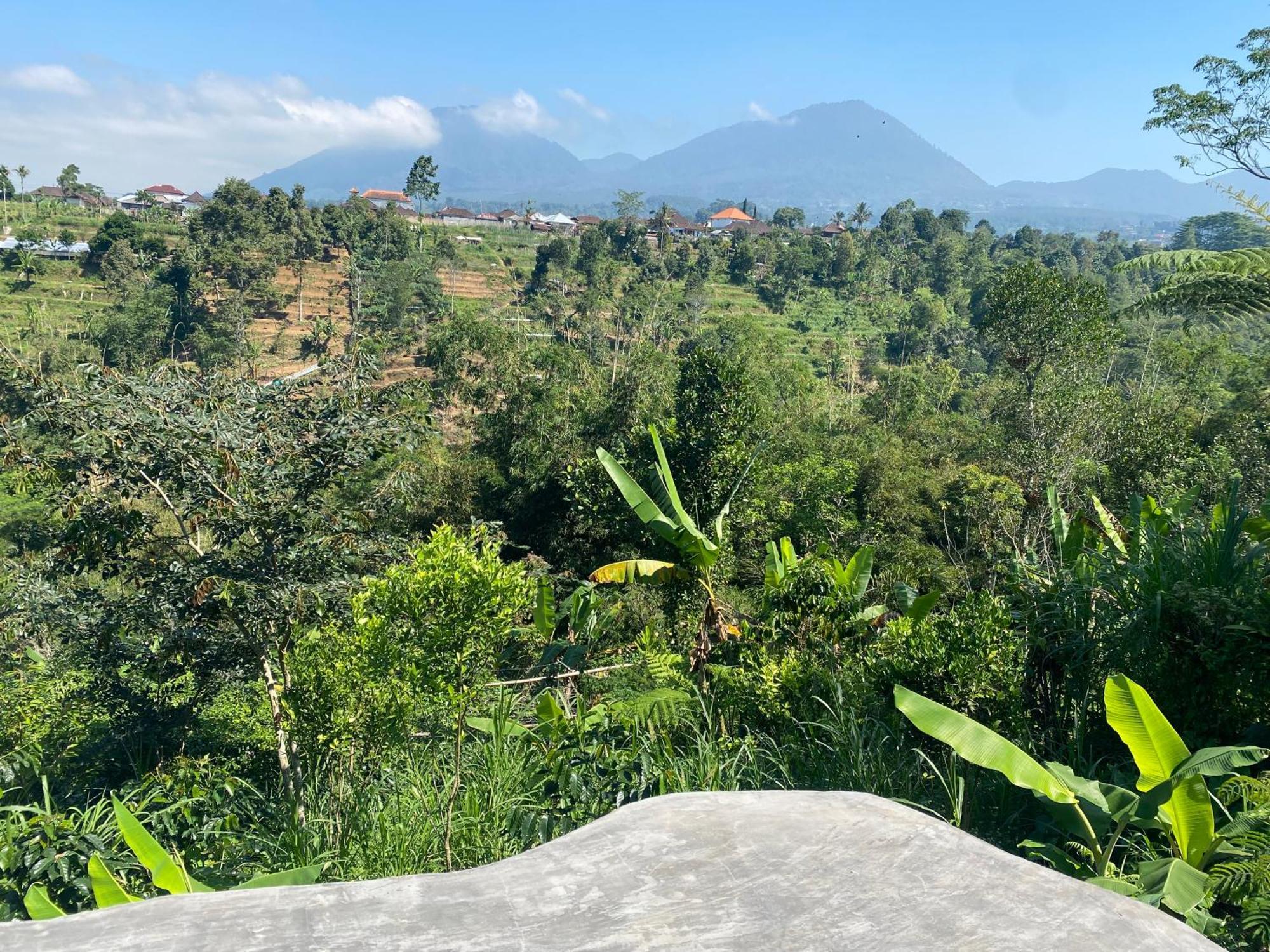 Lembah Cinta Mayungan Baturiti Exteriör bild