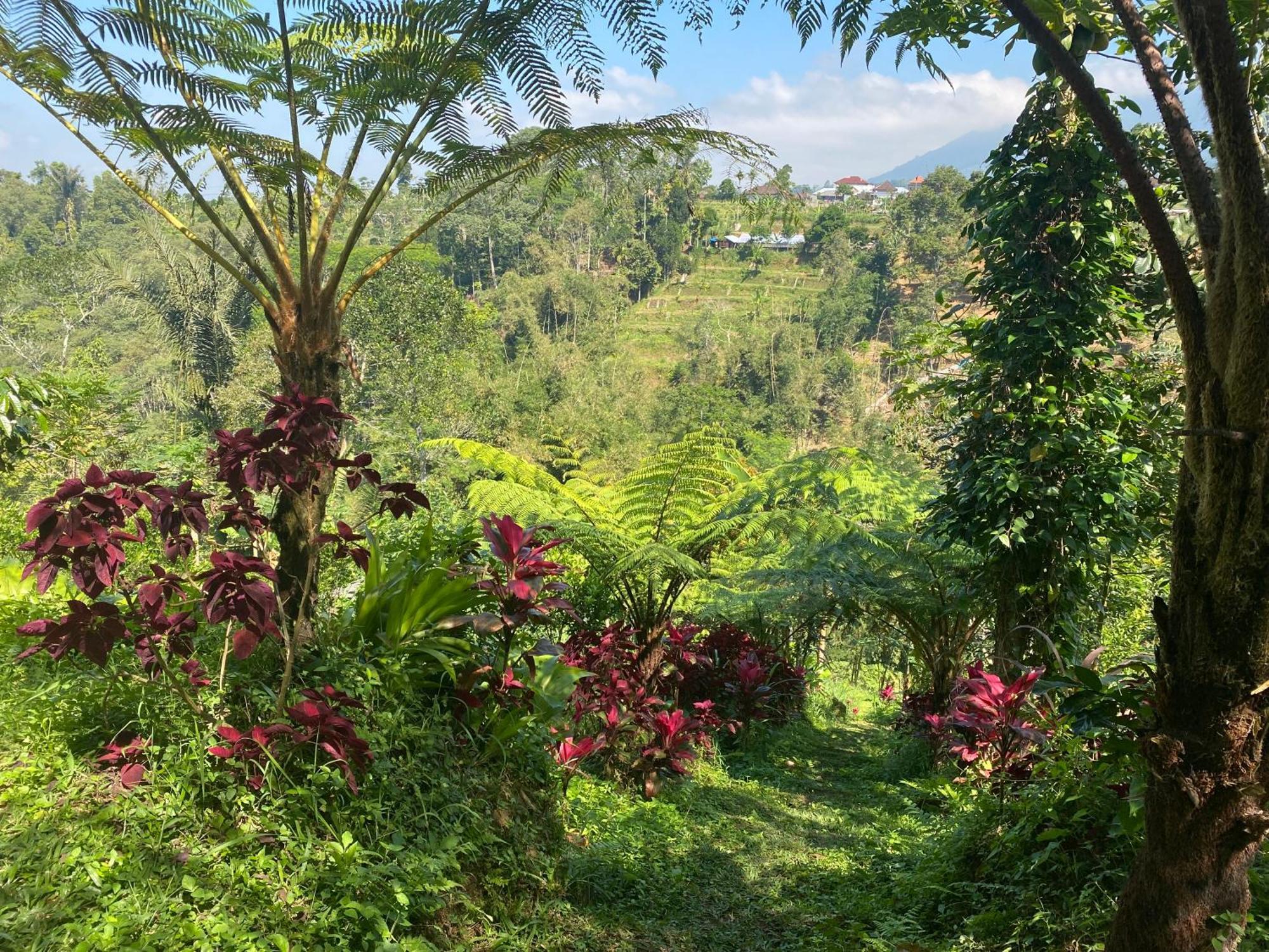 Lembah Cinta Mayungan Baturiti Exteriör bild