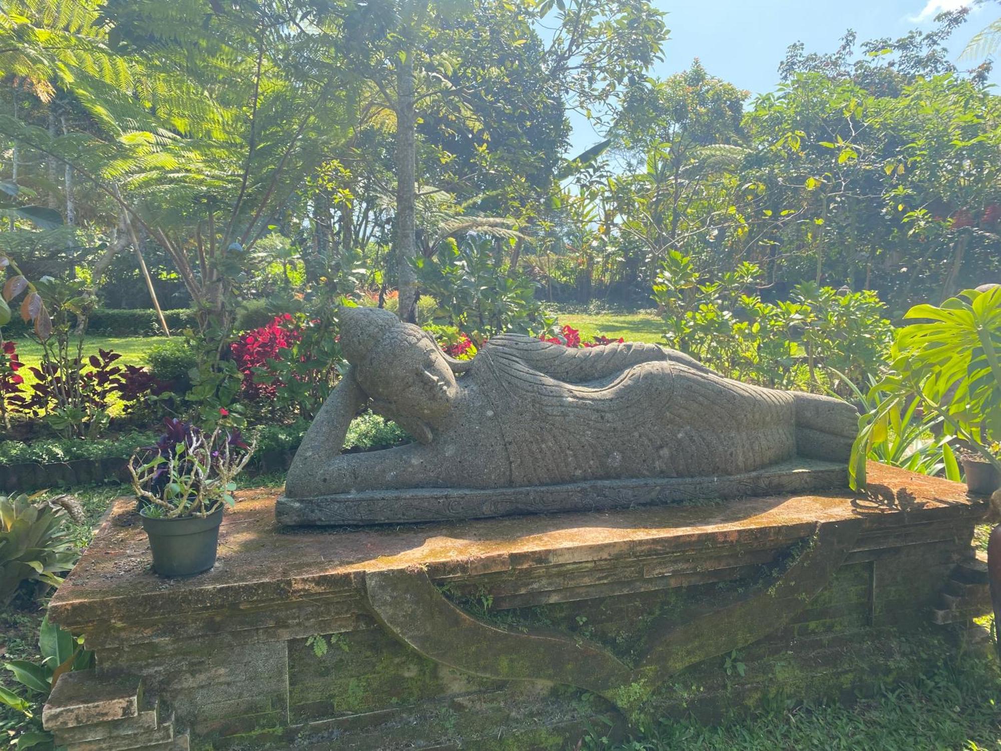 Lembah Cinta Mayungan Baturiti Exteriör bild