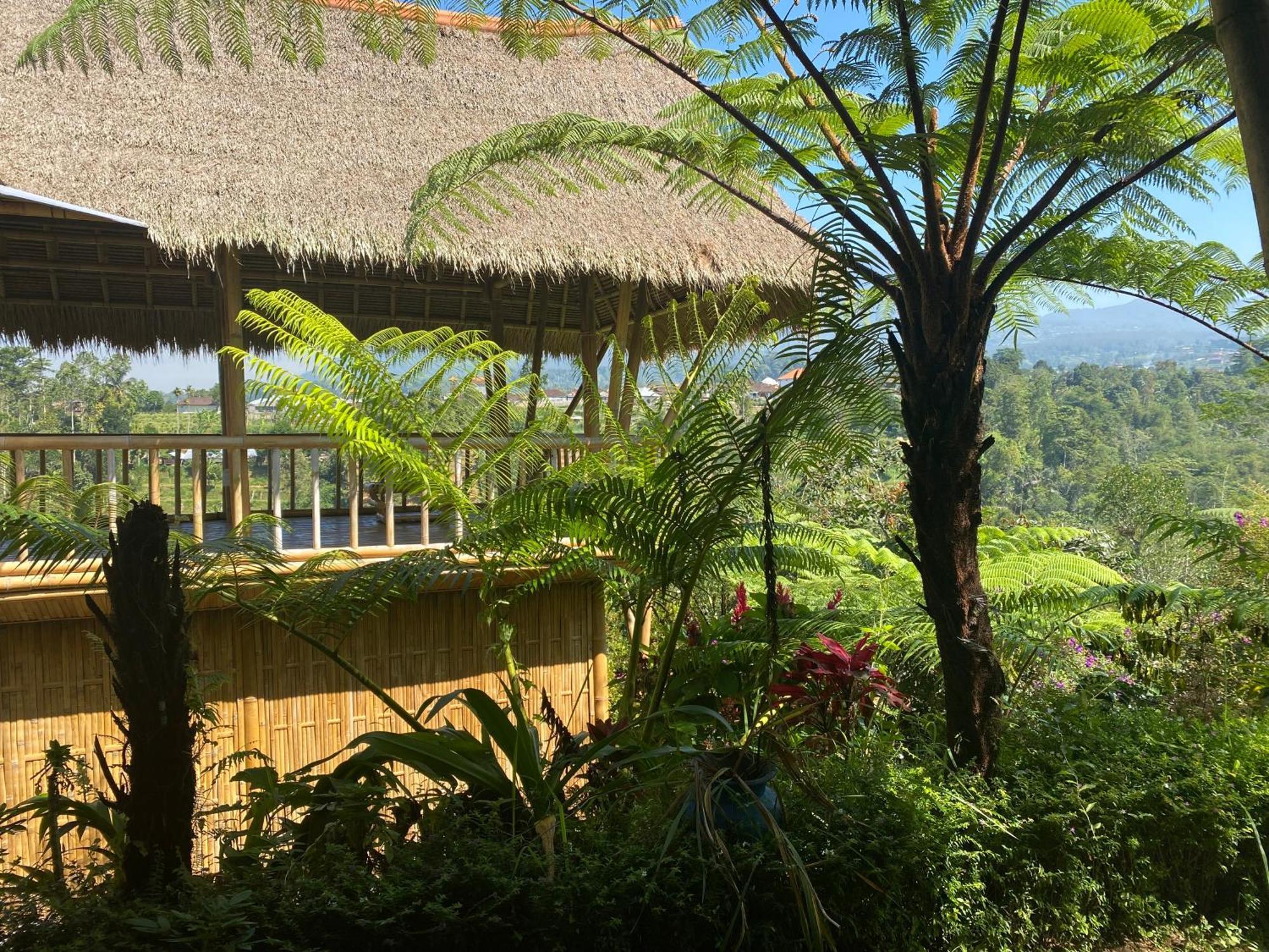 Lembah Cinta Mayungan Baturiti Exteriör bild