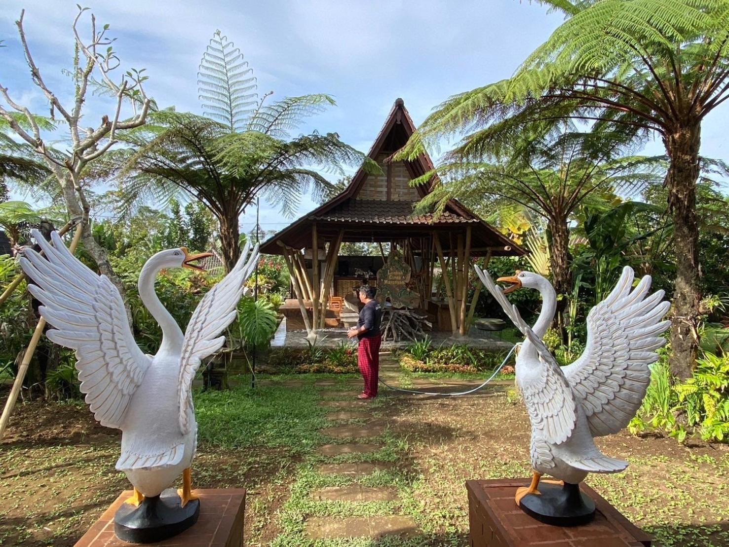 Lembah Cinta Mayungan Baturiti Exteriör bild