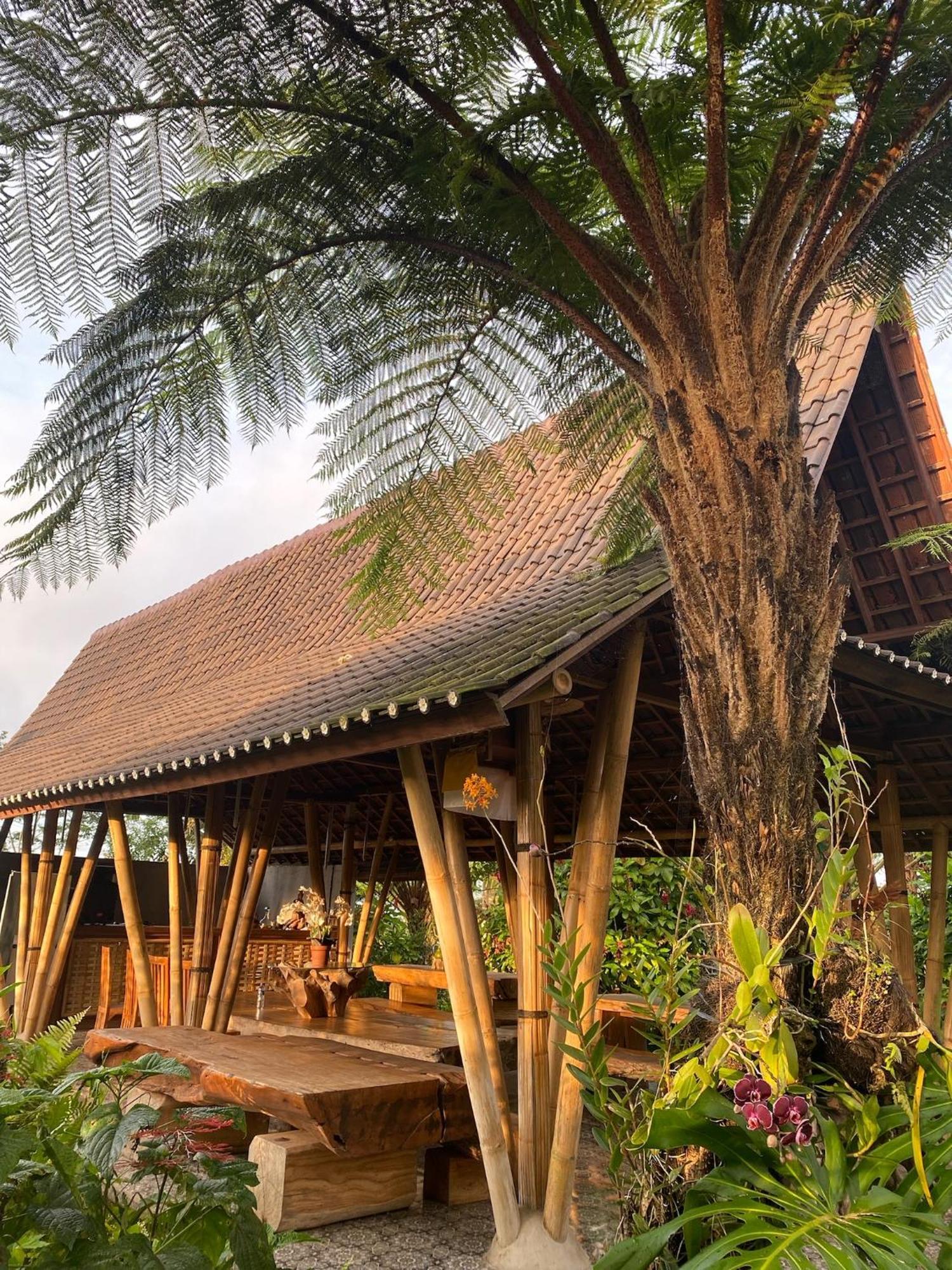 Lembah Cinta Mayungan Baturiti Exteriör bild
