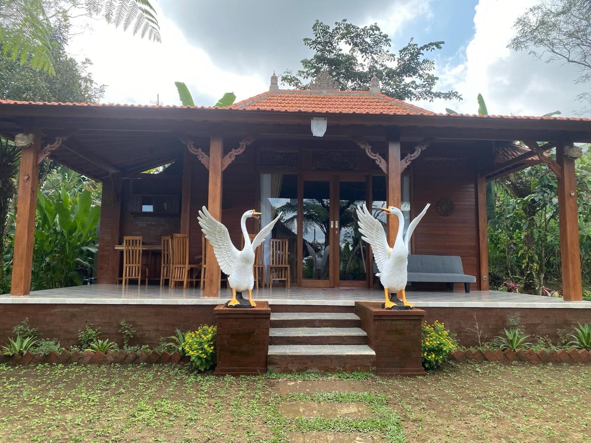 Lembah Cinta Mayungan Baturiti Exteriör bild