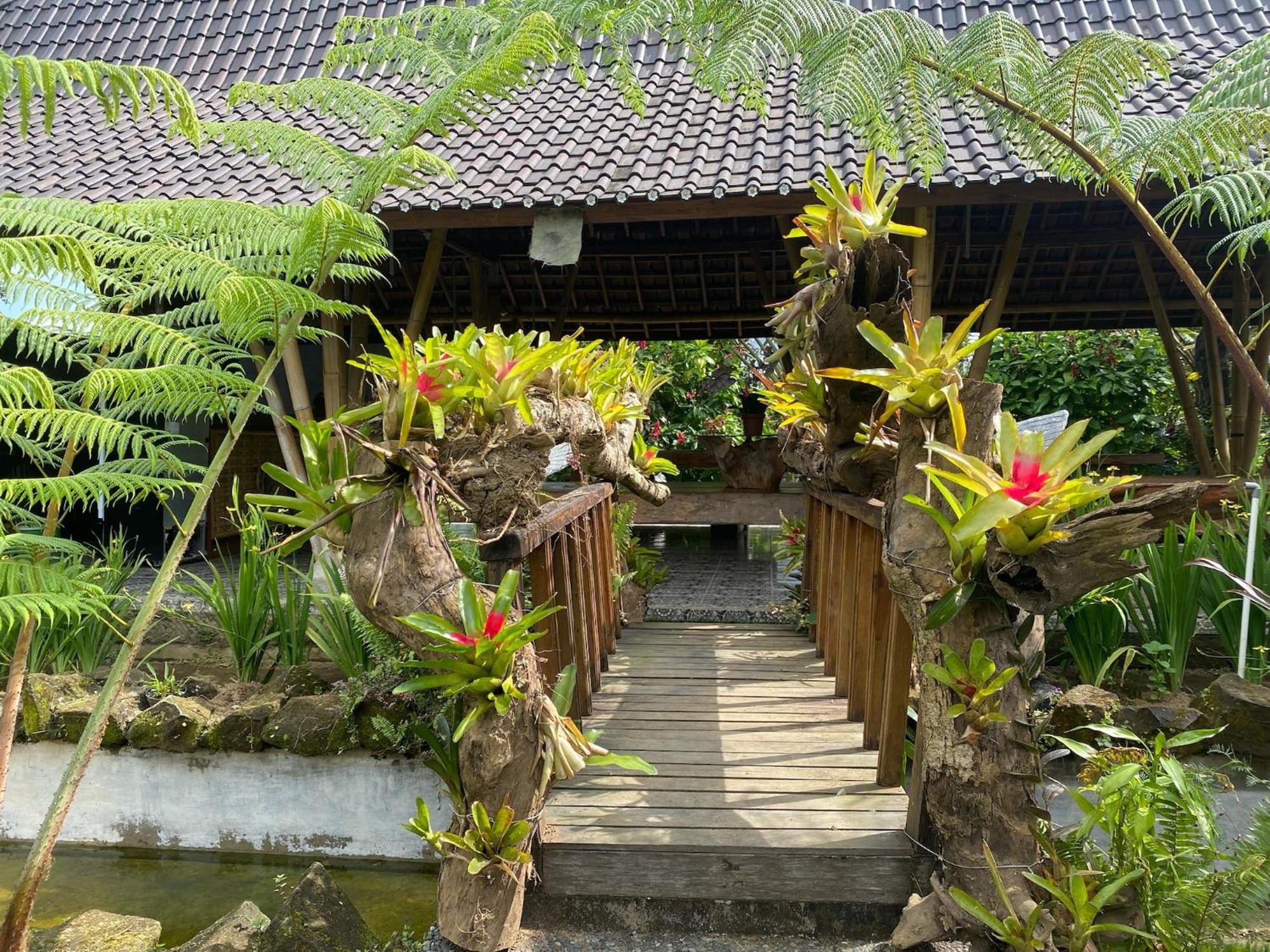 Lembah Cinta Mayungan Baturiti Exteriör bild