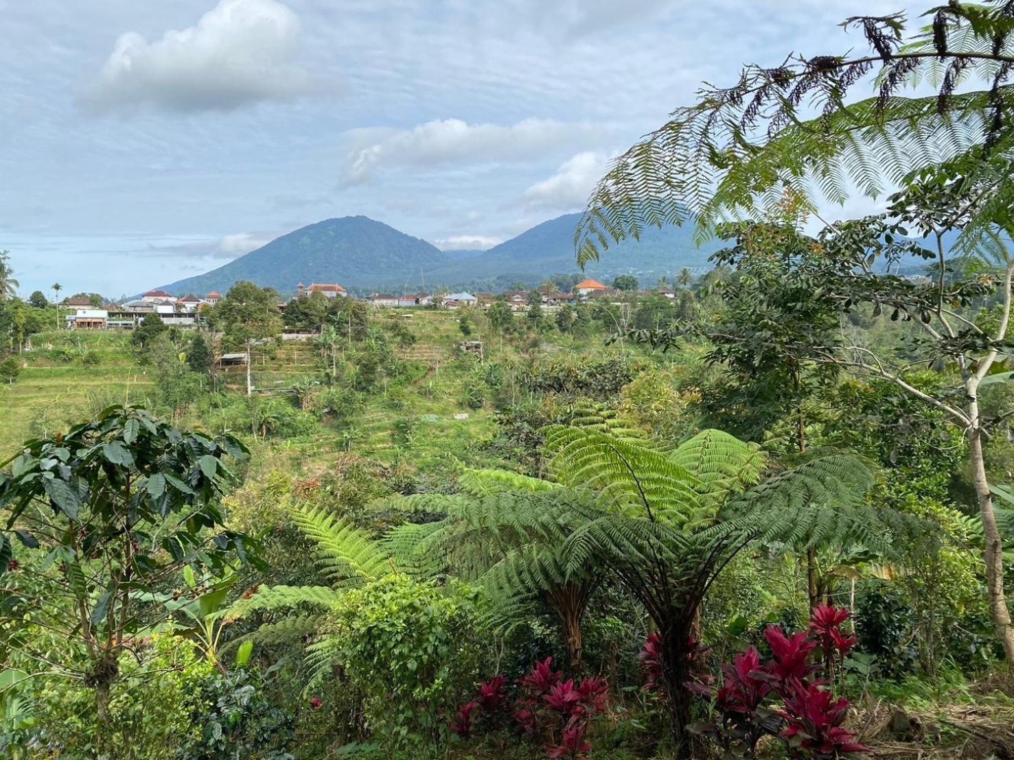 Lembah Cinta Mayungan Baturiti Exteriör bild