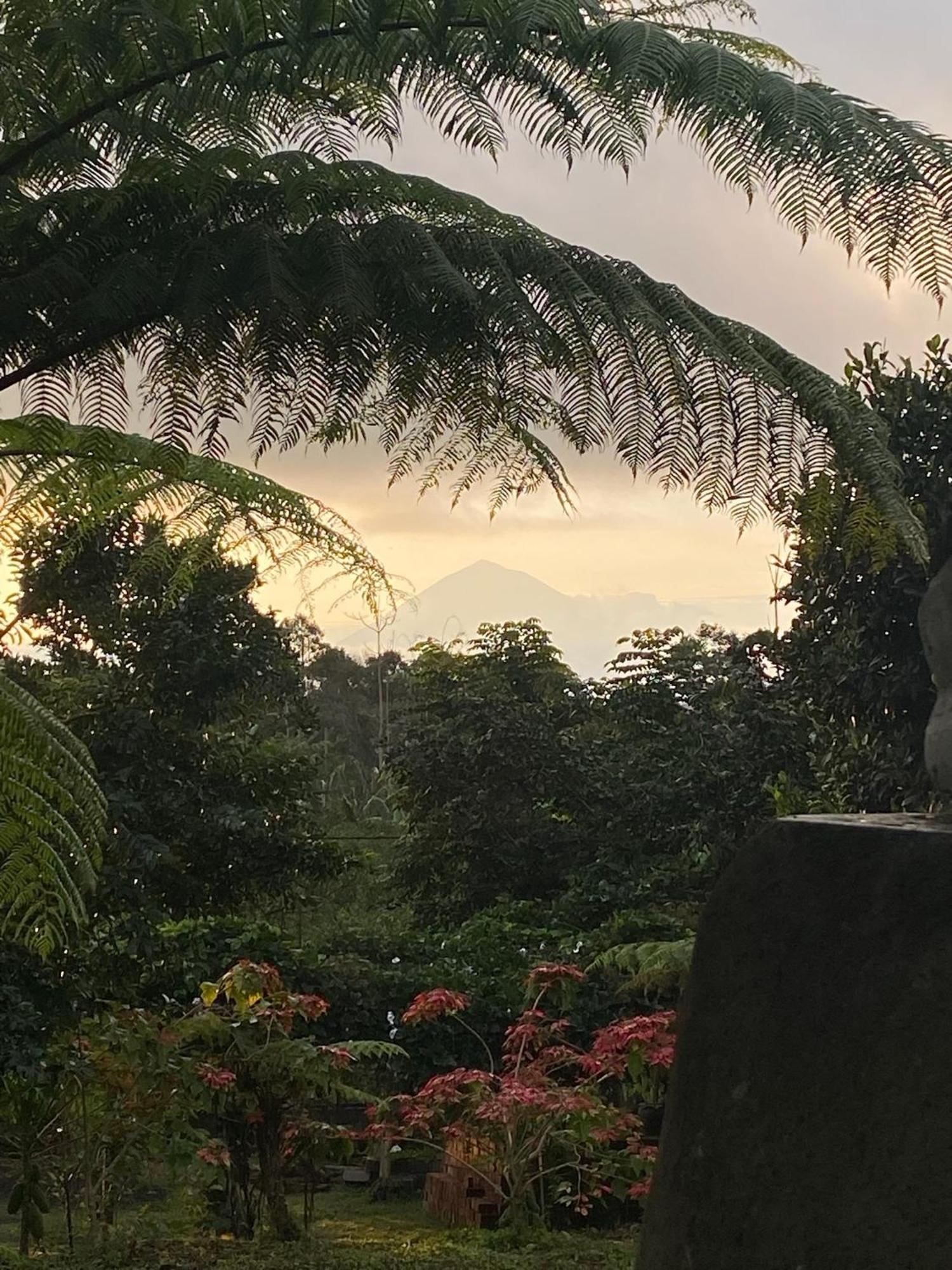 Lembah Cinta Mayungan Baturiti Exteriör bild