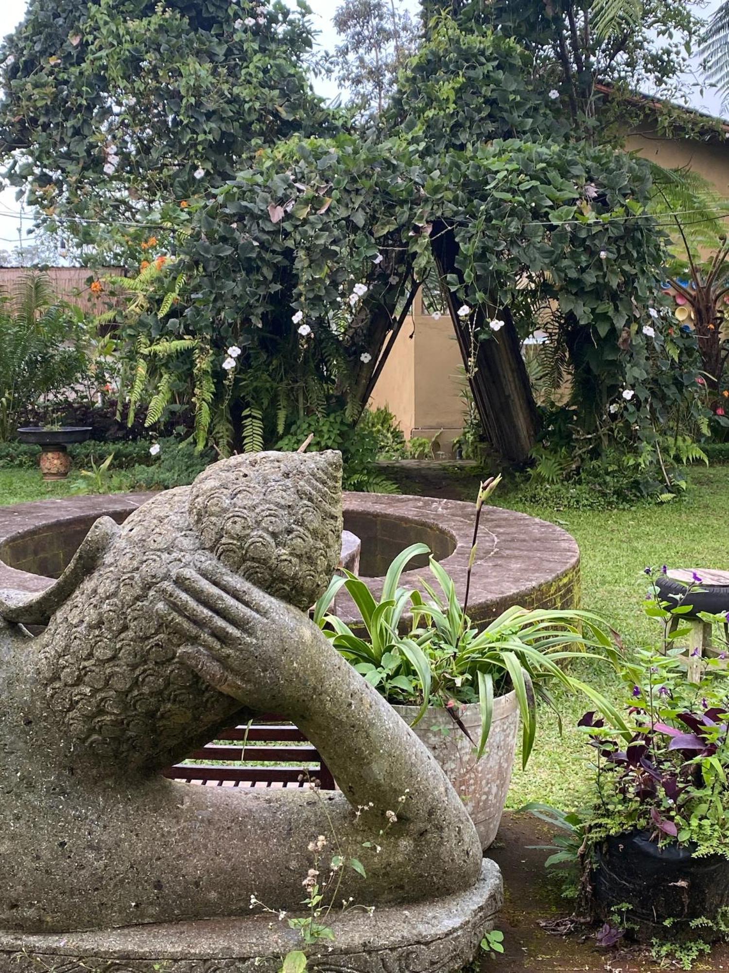 Lembah Cinta Mayungan Baturiti Exteriör bild